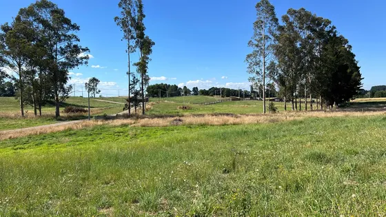 Oportunidad De Inversión En Terreno Espacioso (172533)