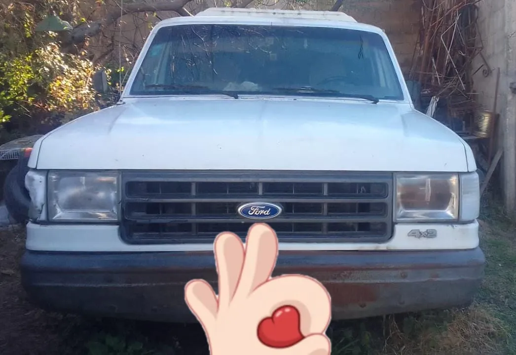 Ford F-100 3.6