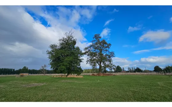 Parcela Camino A Lago Ranco  (región De Los Ríos), $ 42 Mill