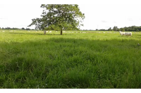 Venta Finca Ganadera Barinas, Via Escuela Salesiana