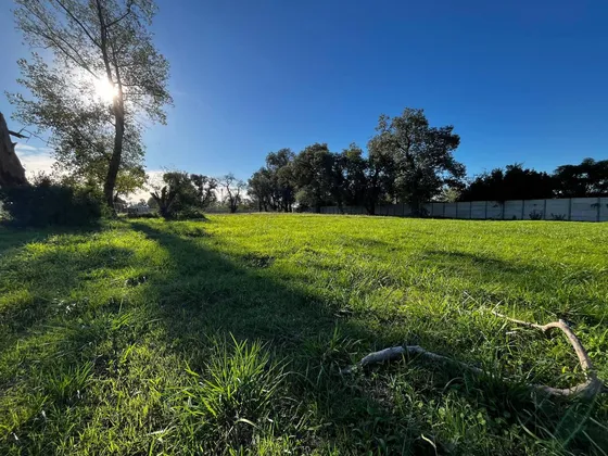 Terreno/lote En Venta Y En Alquiler En Parque Industrial Polo 21