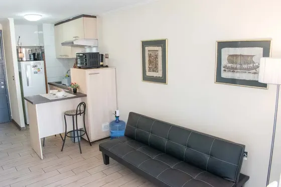 Arriendo Depto Amoblado 1 Habitación - Carmen (3003)