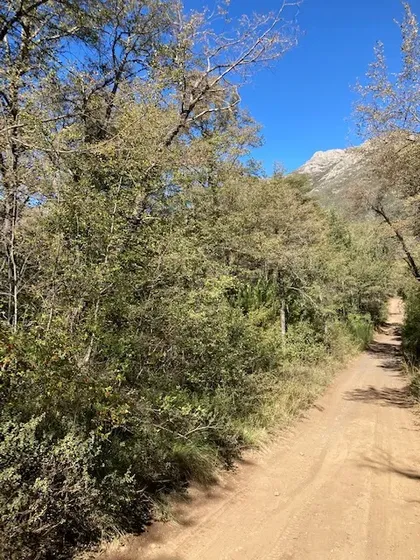 Parcela En Venta En Pinto