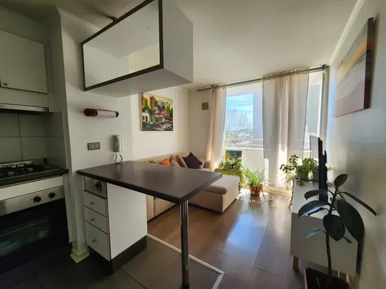 Departamento 2 Dormitorios Sector Tres Pascualas Concepción