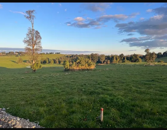 Espectacular Parcela En Puerto Varas