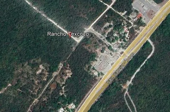 Terreno En Quintana Roo. Sup. 81,850 M2 