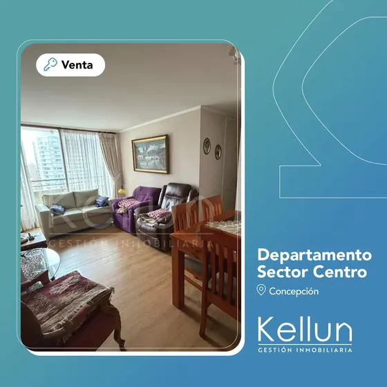 Departamento Pleno Centro De Concepción