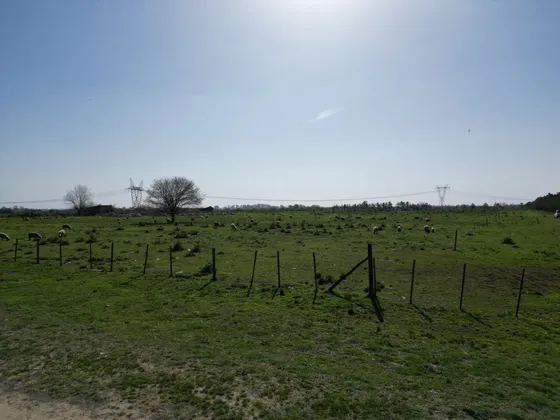Campo En Venta En Esteban Echeverría