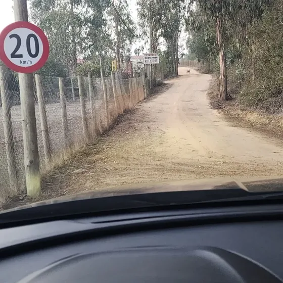 Propiedad De 1.5 Hectarea Con Cabaña Y Casa