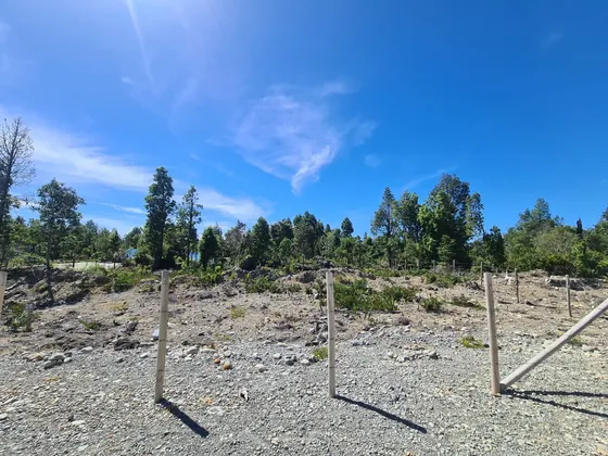 Terreno 1250 M2 Senda Sur, Puerto Montt - Cercado, En Verde