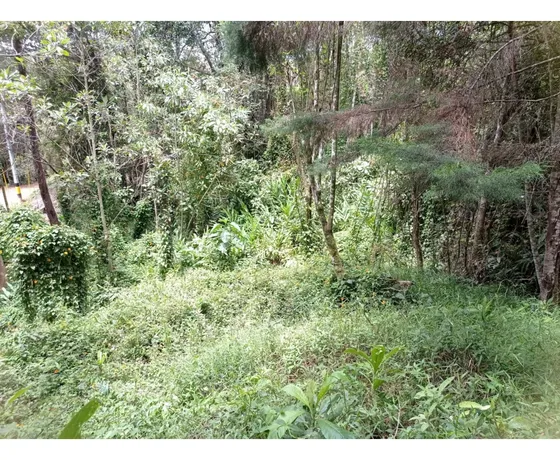 Lote En Venta Independiente En Guarne Vereda La Honda