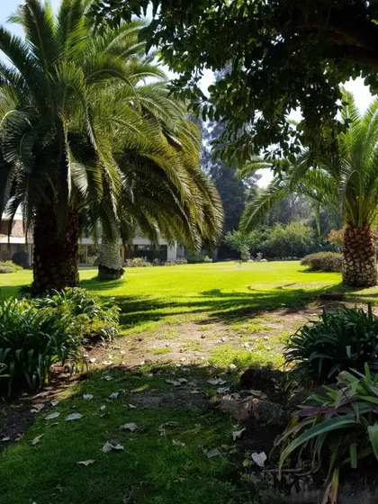 Camino La Fuente/ Las Flores ( Apto Condominio)