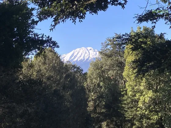 Parcela Con Cabaña En Venta De 1 Dorm. En Puerto Varas