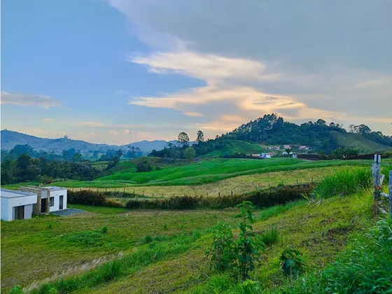 Venta Hermoso Lote En Santa Rosa De Cabal