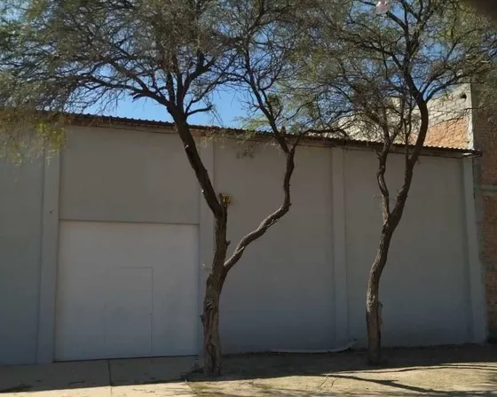 Bodega En Venta El Becerro Celaya