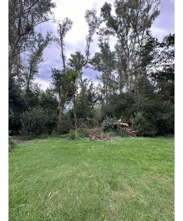Lot for Sale in Bosquecitos Neighborhood in Brandsen