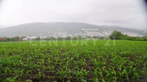 Chilpancingo - Guerrero