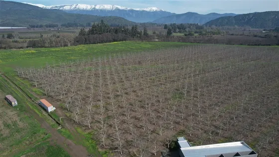 Parcela Con Casa En Venta En Champa, Paine