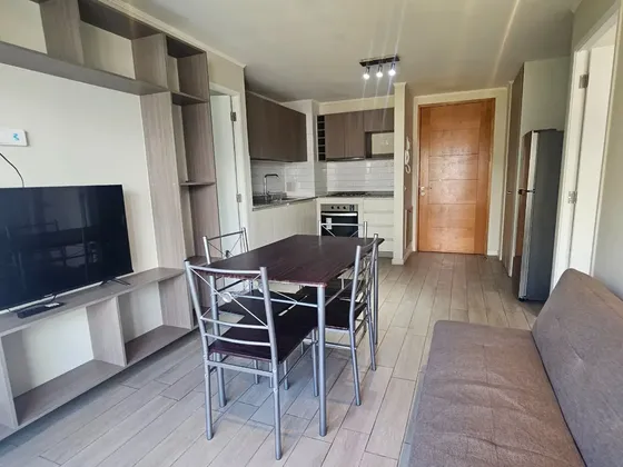 Vende Departamento Amoblado Estilo Mariposa, Concepción.