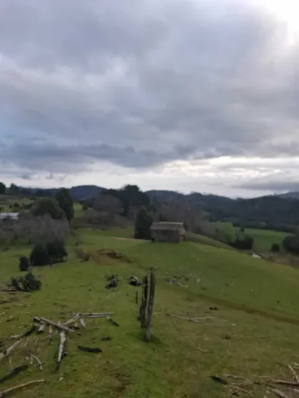 Sector Lafquelmapu, Osorno Region Los Lagos (168914)