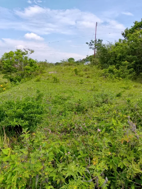 Rd  *inversión 2.500$* Parcela En Venta Calle Princi