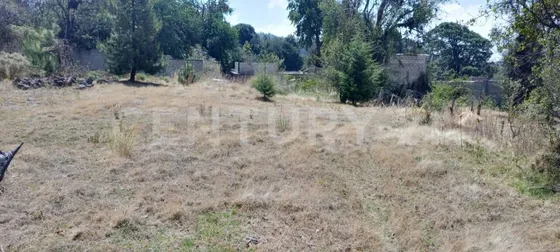Terreno Tres Marías