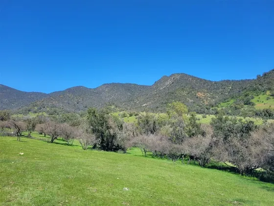 Campo En Venta En Alhué