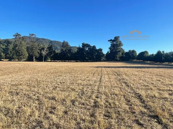 Campo Agrícola 20,5 Ha En Curacautín A Orilla De Camino
