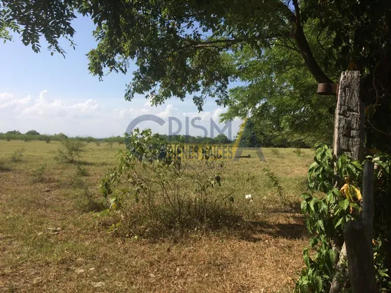 Terreno En Venta En Tuxpan, En Ojite