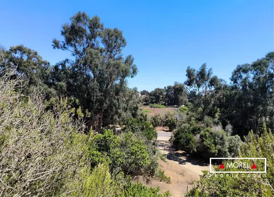 Terreno Entre Cachagua Y Aguas Claras 