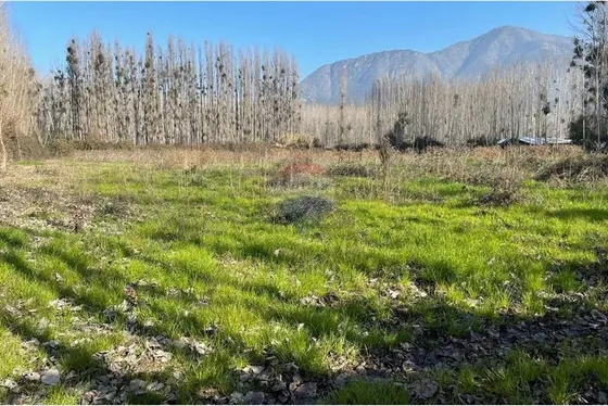 Venta De Terreno Agrícola Coltauco » Vi Región.