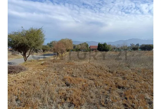 5.000 Mt2 Los Algarrobos De Batuco Etapa Ii