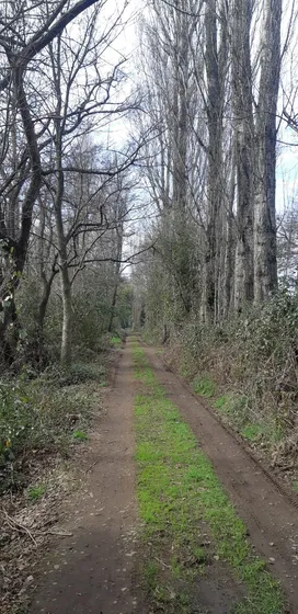 Tu Parcela Soñada Te Espera En San Ignacio