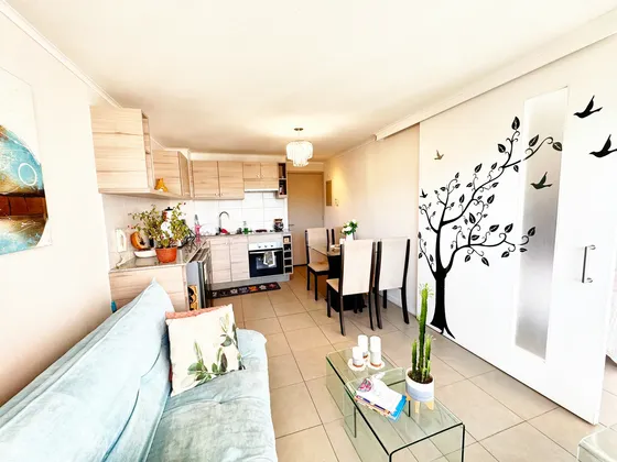 Departamento En Venta En Viña Del Mar Alto
