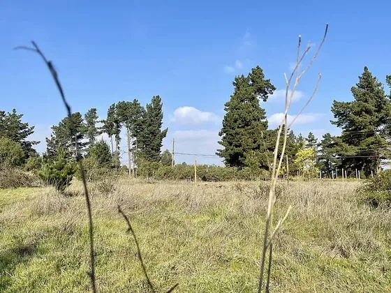 Hermosa Parcela En Los Pinos De Reñaca