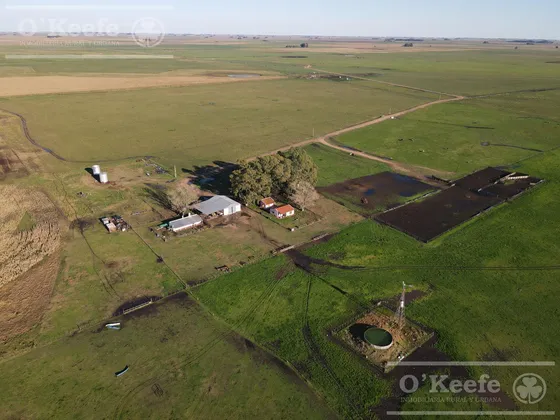 Campo Mixto En Venta De 1440 Has . 40% Agrìcola Con Buenas Mejoras - Olavarria