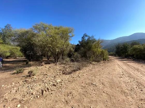 Venta Parcela Plana De 15000 M2 Paine