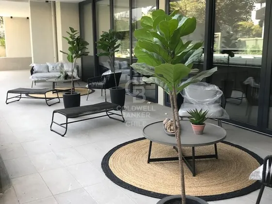 Estudio De Diseño Vanguardista En Los Leones