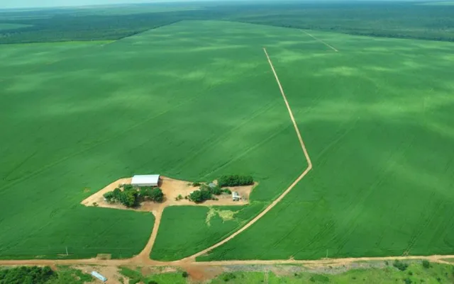 Fazenda A Venda No Mt
