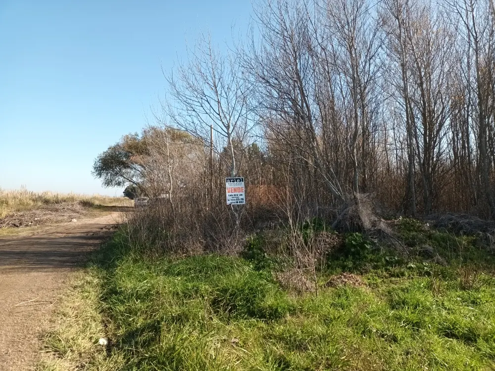 Venta.  Lote 1000 M2 En Costa Chica