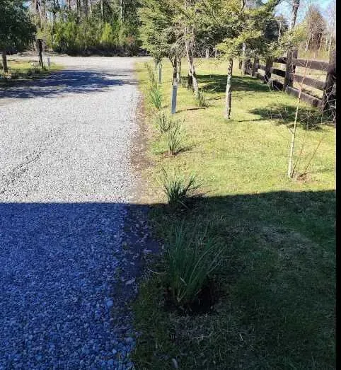 Parcela Con Bosque Nativo