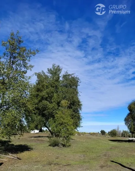 Parcelas En Venta En Quillón, Ñuble. Oportunidad
