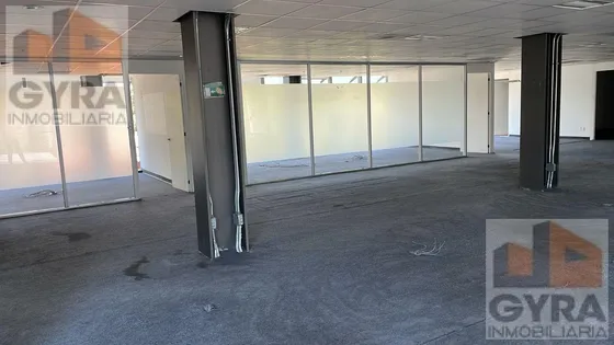 Oficinas De Lujo Renta Periférico Sur Las Flores