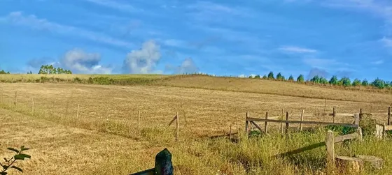 Sitio Con Casa A 8km De Cuidad Nva Imperial, 30.000 M2