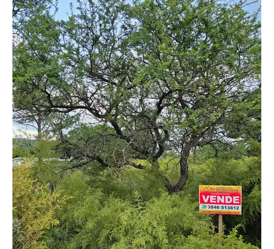 Lote Venta San Ignacio Loteo Velez Crespo Calamuchita Lugar Exclusivo A 200 Metros Del Rio Y Balneario