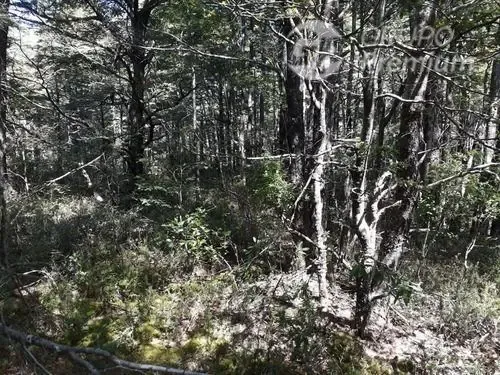 Parcela En Venta Camino El Volcán Pucón