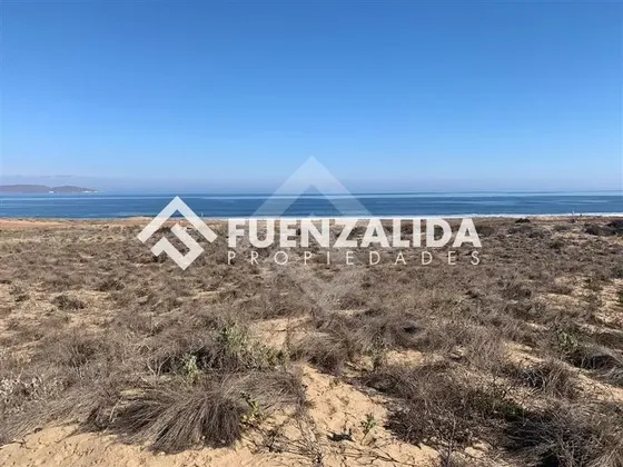 Sitio En Venta En Morrillos
