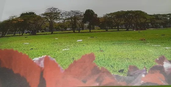 Promoção: Jazigo Duplo Perpétuo Jardim Da Saudade Rj 