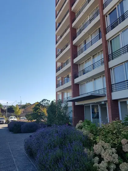 Arriendo Departamento Amoblado En Edificio Parque Machalí