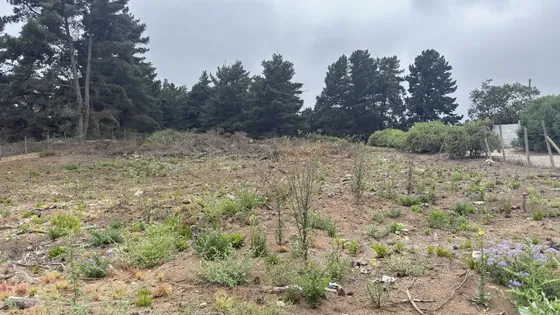 Venta Sitio En Los Pinos Reñaca A 50 Mt De Calafquen  3,6 Uf